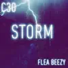 Storm (feat. Flea Beezy) - Single album lyrics, reviews, download