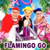 Flamingo Go - Single