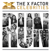 X Factor Itunes Chart