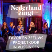 Nederland Zingt Met FaVor en Zeeuws Projectkoor artwork