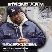 Slow Down Strong [Instrumental] artwork