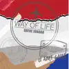 Stream & download Way of Life - Single
