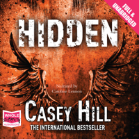 Casey Hill - Hidden artwork