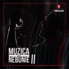 Muzica Sau Nebunie II (100 Versuri) - Single