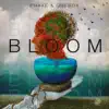 Stream & download Bloom - Single