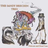 Polecats and Dead Cats by The Sandy Brechin Trio on Apple Music