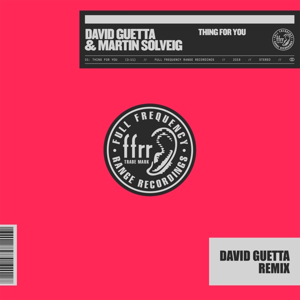 David Guetta & Martin Solveig - Thing for You (David Guetta Remix)