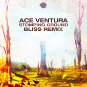 Stomping Ground (Bliss Remix) artwork