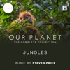 Jungles (Episode 3 / Soundtrack From The Netflix Original Series 