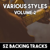 Various Styles SZ Backing Tracks Volume 2 artwork