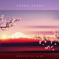 Meditative Mind - Prana Apana artwork
