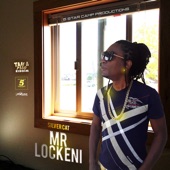 Silver Cat - Mr Lockeni