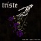 Triste (feat. Damn Dad & Zyme) - Liana Love lyrics