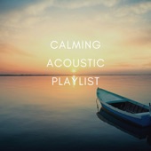 Calming Acoustic Playlist artwork