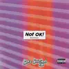 Not OK! (Acoustic) - Single album lyrics, reviews, download