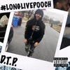 Long Live Pooch