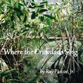 Where the Crawdads Sing artwork