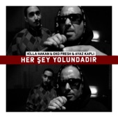 Her Şey Yolundadır artwork