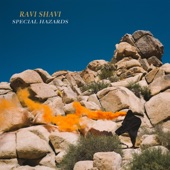 Ravi Shavi - High Hopes