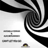 Can't Let You Go (F & B Jazzy Mix) song lyrics