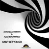 Stream & download Can't Let You Go (F & B Jazzy Mix)