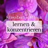 Klassische Musik Entspannung zum Lernen und Konzentrieren artwork