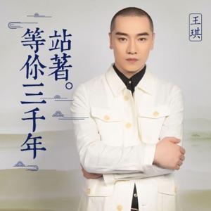 Wang Qi (王琪) - Forever Waiting for You (站着等你三千年) - Line Dance Musik