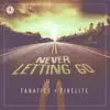 Stream & download Never Letting Go - Single