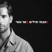 כתבתי מילים artwork