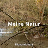 Meine Natur artwork