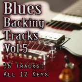 Blues Backing Tracks Vol 5 artwork