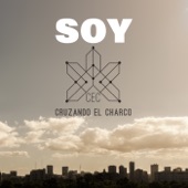 Soy artwork