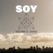 Soy artwork