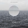 Dirk Maassen - Fjara