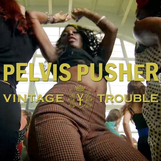 Cover artwork for Pelvis Pusher