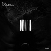 Into the Dark (Hannes Bieger Remix) artwork