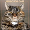 Music for Cats: Tranquil Lullabies to Help Your Cat Sleep