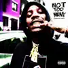 Not Too Many - Single album lyrics, reviews, download