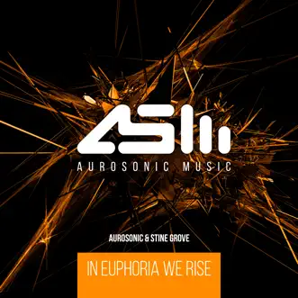 In Euphoria We Rise (Progressive Mix) by Aurosonic & Stine Grove song reviws