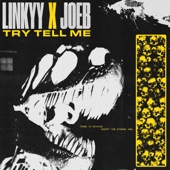 Try Tell Me artwork