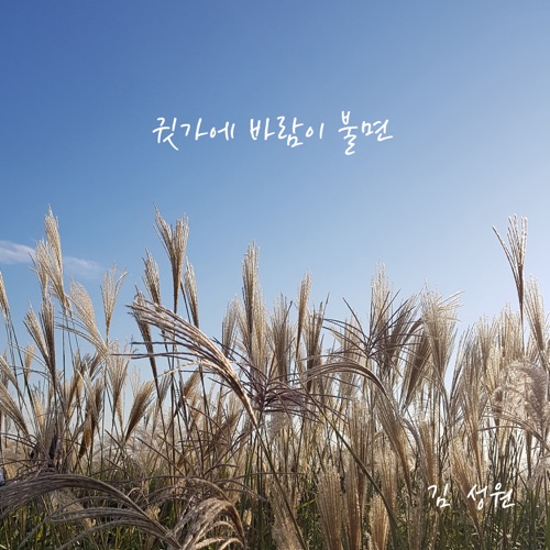 Sungwon Kim – When the Wind Blows Over My Ears – Single