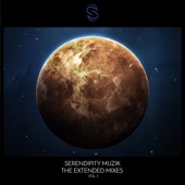 Serendipity Muzik - The Extended Mixes Vol. 3 artwork