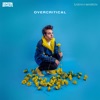 Overcritical - Single