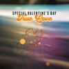 Special Valentine's Day - True Love