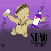 S.U.N.O artwork