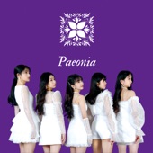 Paeonia - EP artwork