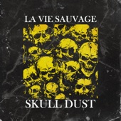 Skull Dust artwork