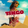 Nessa Preppy - Tingo