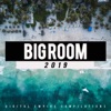 Big Room 2019, Vol.1