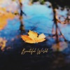 Beautiful World - Single